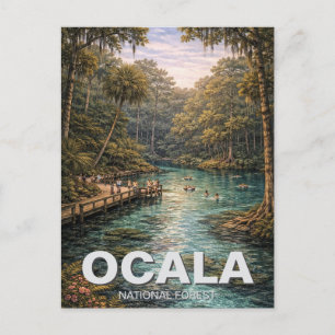 Cartão Postal Floresta Nacional de Ocala Viagem na Flórida