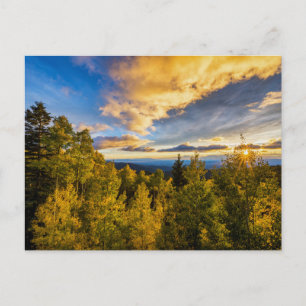 Cartão Postal Floresta Nacional de Santa Fe ao Pôr do Sol no Out