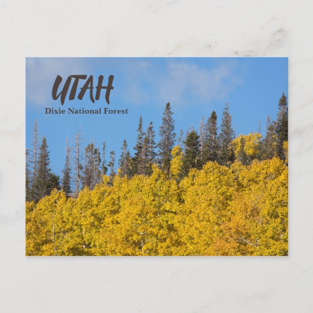 Cartão Postal Floresta Nacional de Utah Dixie (Frente)
