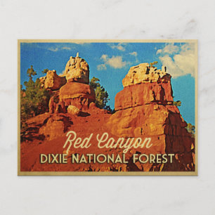 Cartão Postal Floresta Nacional Dixie