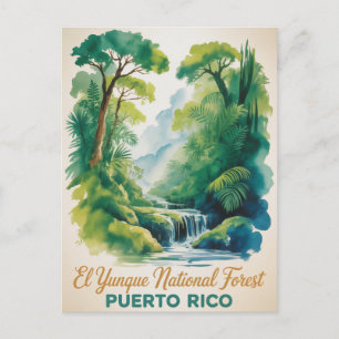Cartão Postal Floresta Nacional El Yunque Porto Rico Natureza