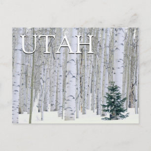 Cartão Postal Floresta Nacional Manti-LaSal, Utah   Feliz Aniver