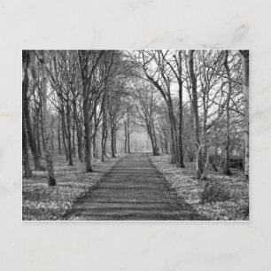 Cartão Postal Floresta Negra/Branca