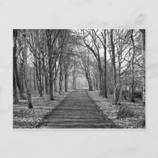 Cartão Postal Floresta Negra/Branca