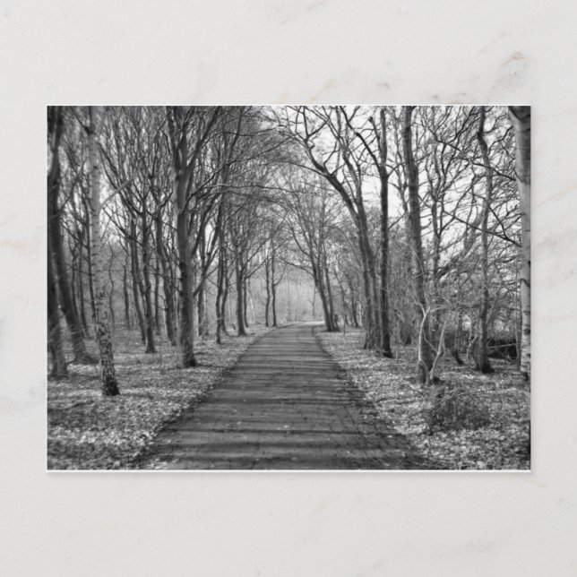 Cartão Postal Floresta Negra/Branca (Frente)