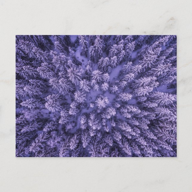 Cartão Postal Floresta Norueguesa de Neve (Frente)