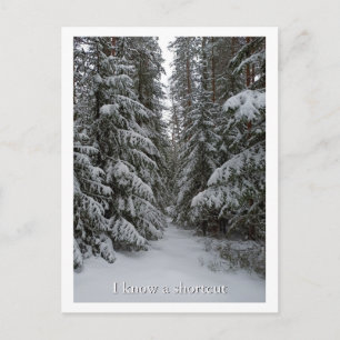 Cartão Postal Floresta Perene Nevada Personalizada