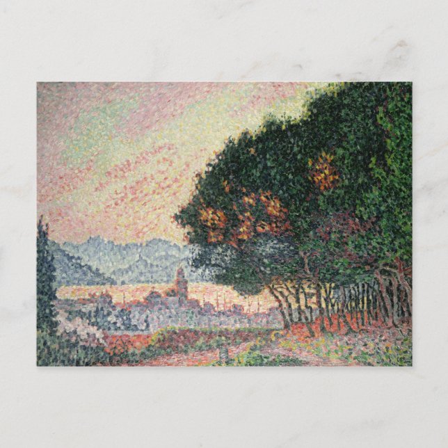 Cartão Postal Floresta perto da Rua. Tropez, 1902 (Frente)