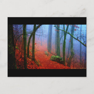 Cartão Postal Floresta Pintada Outono Névoa Azul