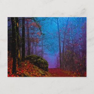 Cartão Postal Floresta Pintada Outono Névoa Roxa