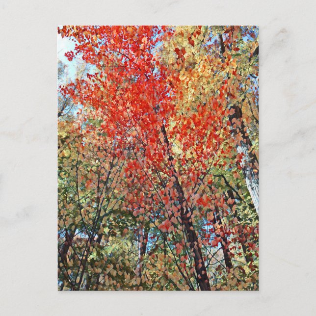 Cartão Postal floresta pontilhista (Frente)