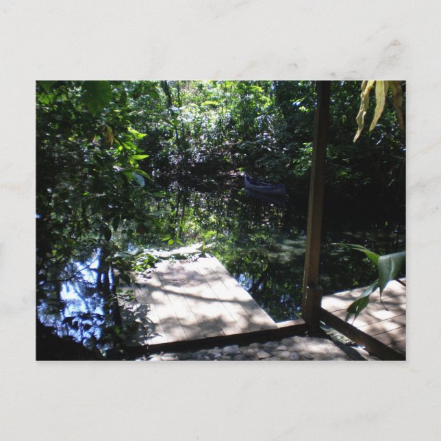 Cartão Postal Floresta tropical (Frente)