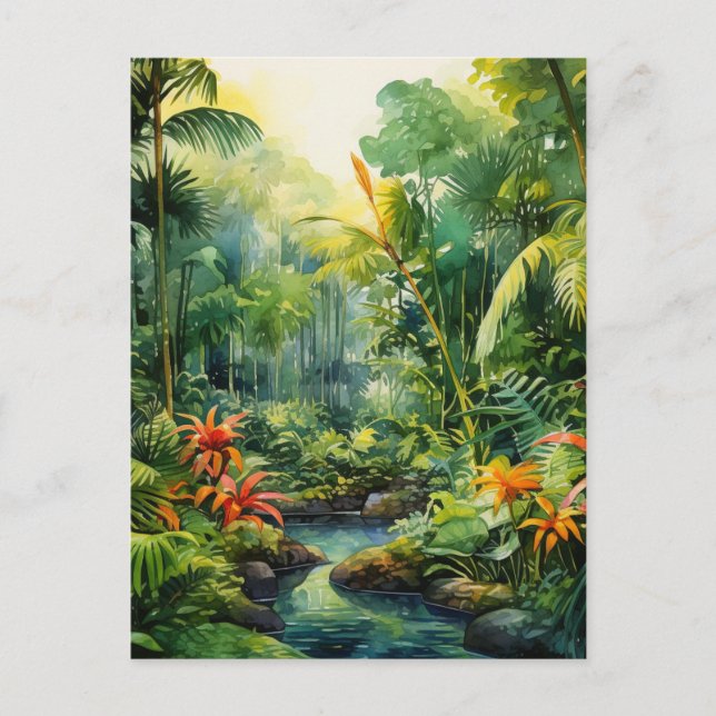 Cartão Postal Floresta Tropical (Frente)
