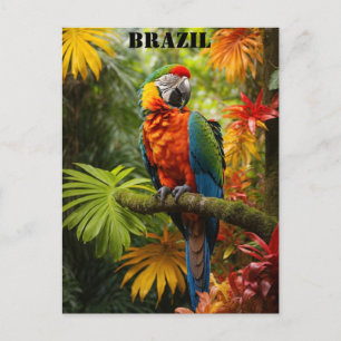 Cartão Postal Floresta Tropical Brasileira Papagaio Colorido Via