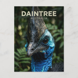 Cartão Postal Floresta Tropical Daintree Austrália