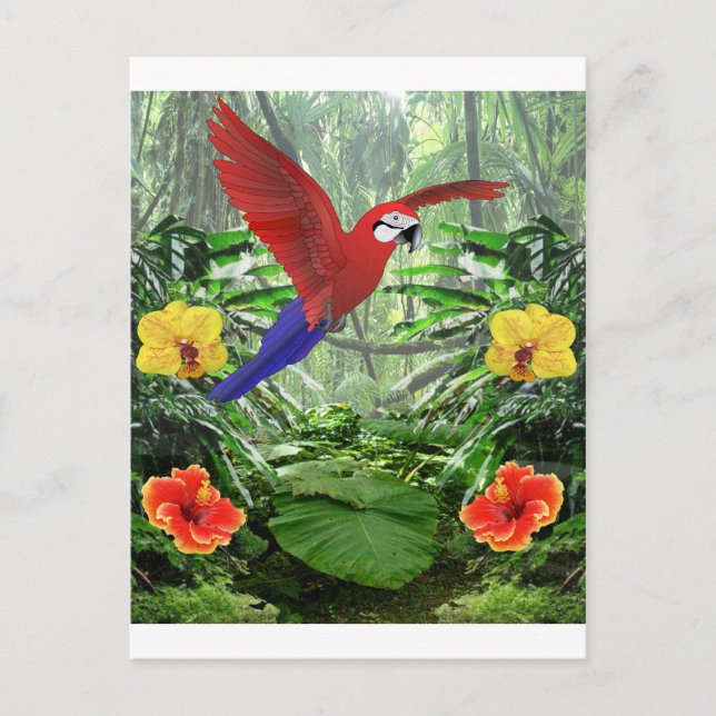 Cartão Postal Floresta Tropical de Chuva (Frente)