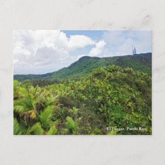 Cartão Postal floresta tropical el yunque e torre de comunicaçõe