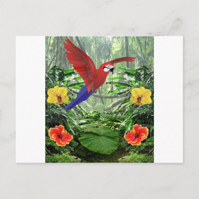 Cartão Postal Floresta tropical tropical (Frente)