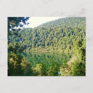 Cartão Postal Floresta Valdiviana Temperate, Chile