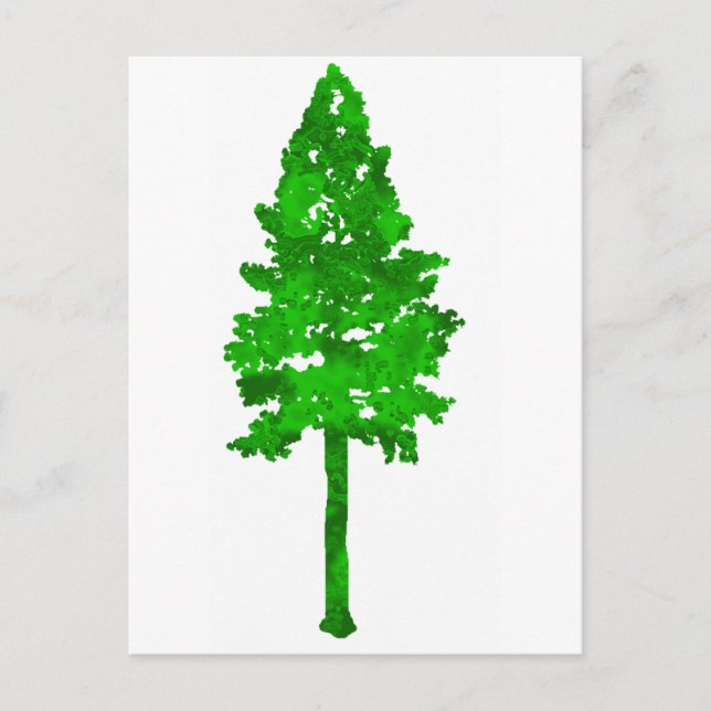 Cartão Postal Floresta verde (Frente)