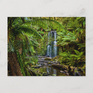 Cartão Postal Florestas Beauchamp Falls Austrália