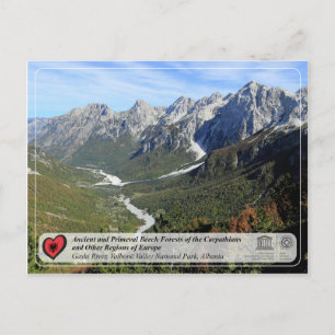 Cartão Postal Florestas de Feia Antigas e Primeval - Rio Gashi