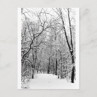 Cartão Postal Florestas de inverno