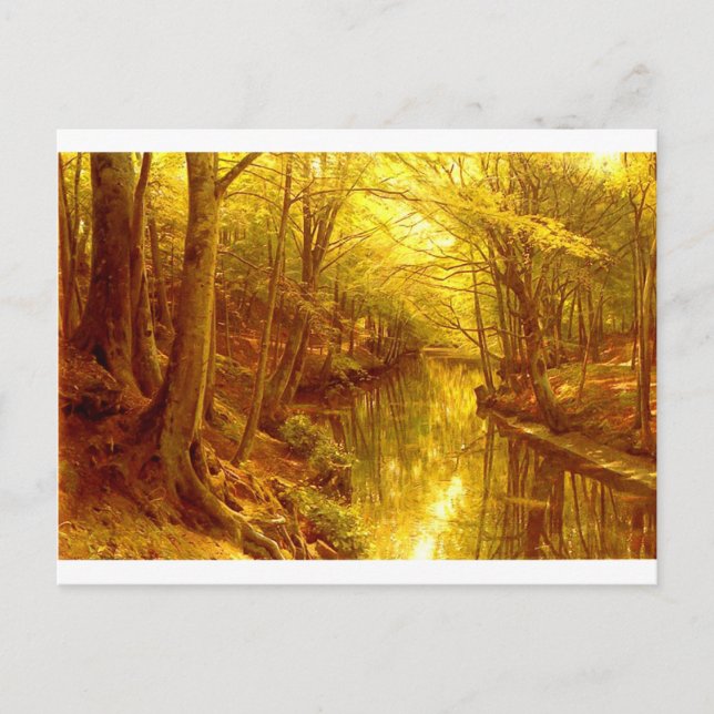 Cartão Postal florestas-imagens-8 (Frente)