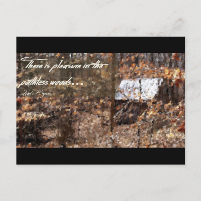 Cartão Postal Florestas Sem Pé (Frente)