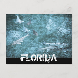 CARTÃO POSTAL FLORIDA