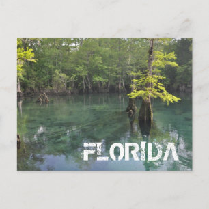 CARTÃO POSTAL FLORIDA
