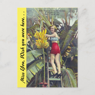 Cartão Postal Flórida: "A Cidade Sunshine"