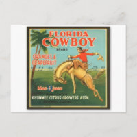 Flórida Cowboy