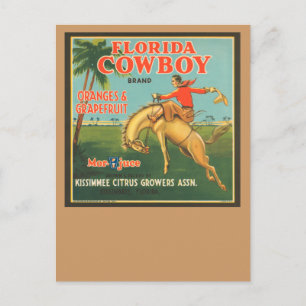 Cartão Postal Flórida Cowboy