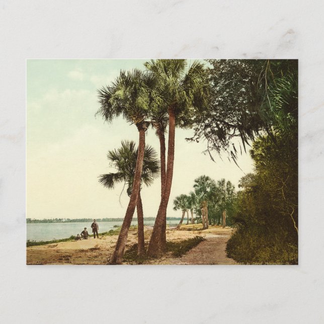 Cartão Postal Flórida do Rio Indiana em 1898 (Frente)