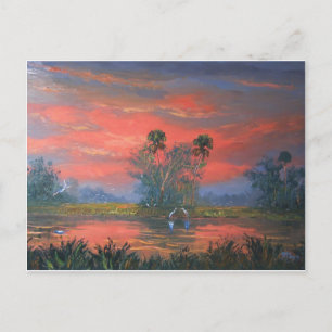Cartão Postal Florida Everglades Fire Sky