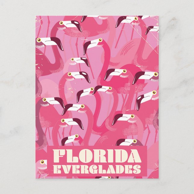 Cartão Postal Florida Everglades Flamingo viagens vintage (Frente)