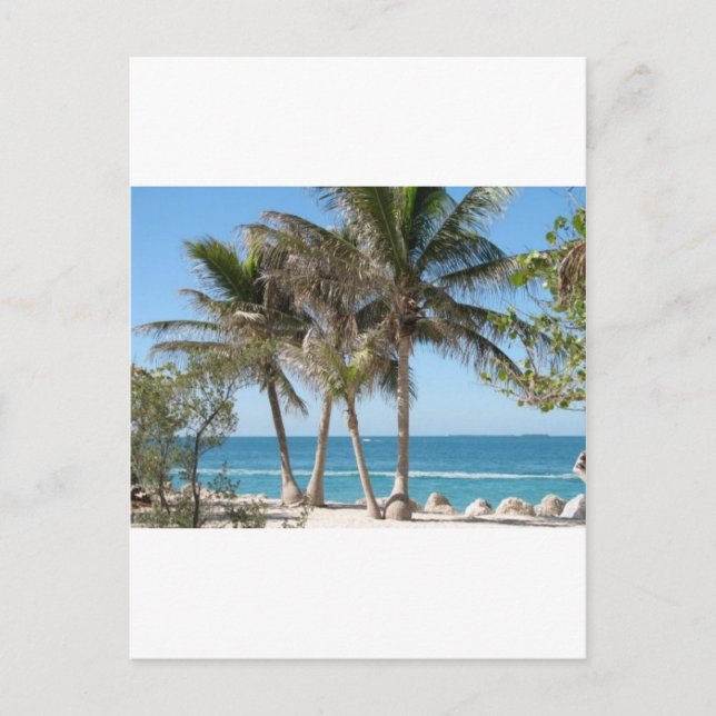 Cartão Postal Florida Keys (Frente)