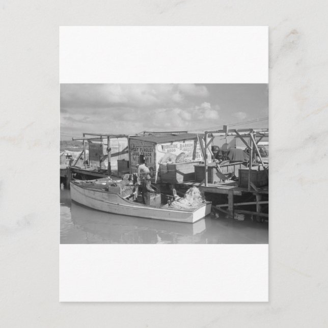 Cartão Postal Florida Keys Fisheries, 1938 (Frente)