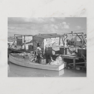Cartão Postal Florida Keys Fisheries, 1938