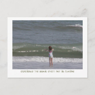 Cartão Postal Flórida mágica.