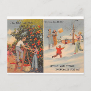 Cartão Postal Flórida no inverno