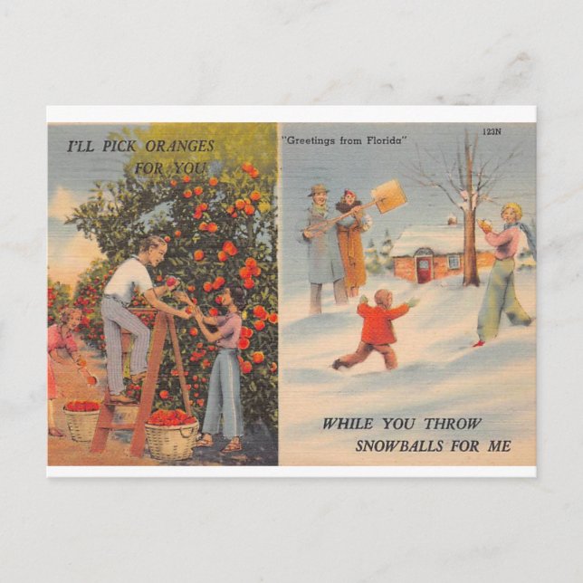 Cartão Postal Flórida no inverno (Frente)