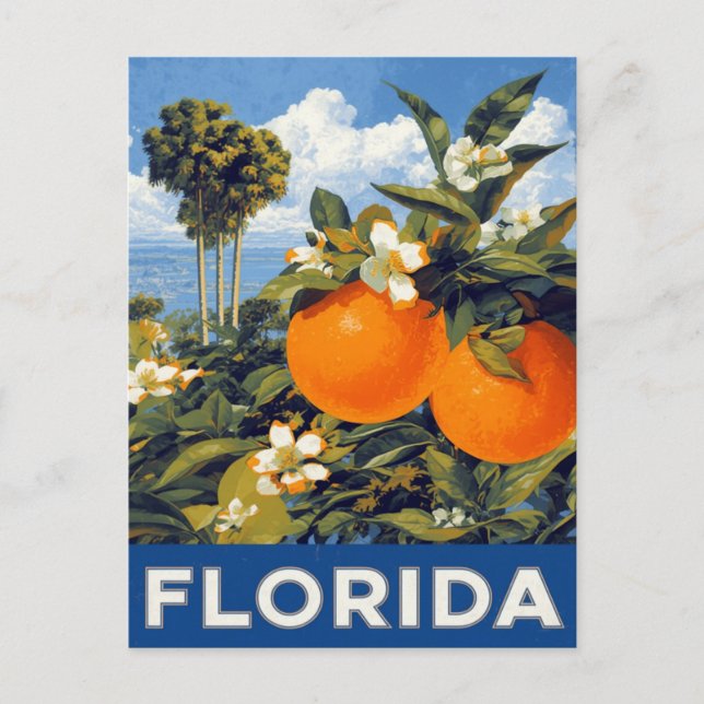 Cartão Postal Florida Oranges Vintage Travel (Frente)