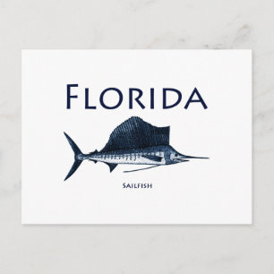 Cartão Postal Florida Sailfish