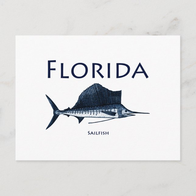 Cartão Postal Florida Sailfish (Frente)