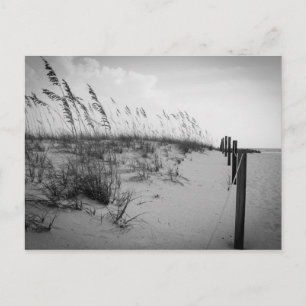 Cartão Postal Florida Sand Dunes