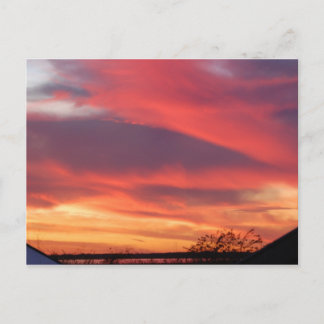 Cartão Postal Flórida Sunset