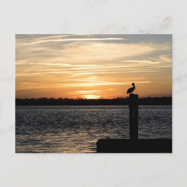 Cartão Postal Flórida Sunset com Pelicano (Frente)