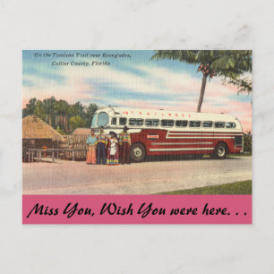 Cartão Postal Florida, Tamiami Trail, Everglades